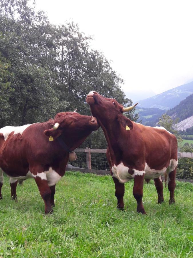 Ferienhaus Lechnerhof Schladming Exteriör bild